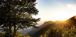 Giro delle Malghe di Caltrano: al tramonto un itinerario nella natura alla portata di tutti malghe caltrano