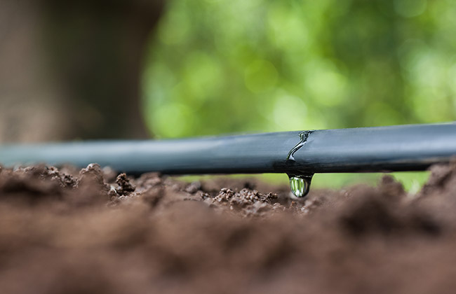 siccità consorzi agricoltura veneto