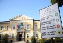 Sorveglianza e prevenzione della Dengue, dallo Spallanzani aggiornamento linee guida