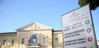 Sorveglianza e prevenzione della Dengue, dallo Spallanzani aggiornamento linee guida