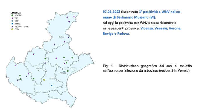 West Nile in Veneto, distribuzione geografica dei casi di malattia nell’uomo