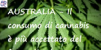 Australia. Il consumo di cannabis è più accettato del fumo di tabacco