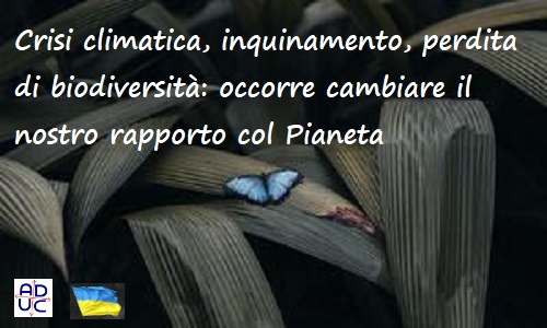 biodiversitc3a0-jpg