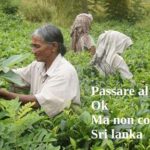 Passare al bio? Ok, ma non come in Sri Lanka
