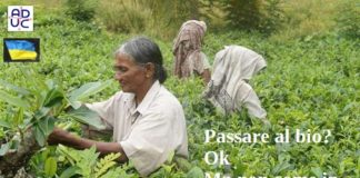 Passare al bio? Ok, ma non come in Sri Lanka