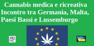 Cannabis medica e ricreativa. Incontro tra Germania, Malta, Paesi Bassi e Lussemburgo cannabis