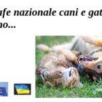Cani e gatti, ok dal Ministero della Salute all’anagrafe nazionale