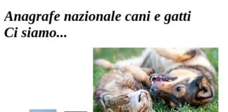 Cani e gatti, ok dal Ministero della Salute all’anagrafe nazionale