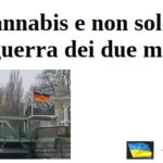 Cannabis e non solo. La guerra dei due mondi