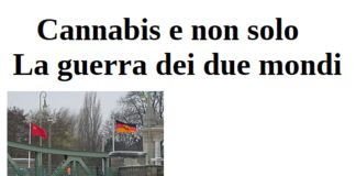 Cannabis e non solo. La guerra dei due mondi