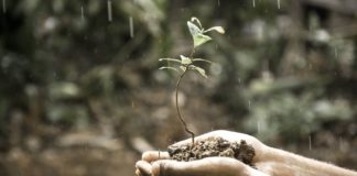 Crederci: opzione necessaria dopo la nuova crisi di Governo e la nuova campagna elettorale