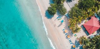 Codici: ammessa la class action per la crociera “Le perle del Caribe” sulla Pacifica