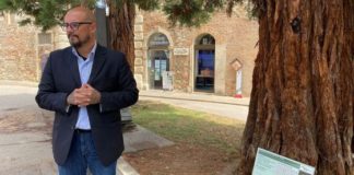 Vicenza ha 12 nuovi alberi monumentali, inseriti nell’elenco nazionale del Ministero alberi monunmentali vicenza