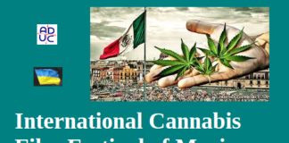 International Cannabis Film Festival of Mexico