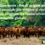 Mangiare meno cibo di origine animale è fondamentale per ridurre il rischio malattie originate da fauna selvatica e il riscaldamento globale