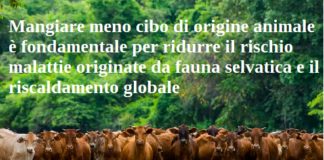 Mangiare meno cibo di origine animale è fondamentale per ridurre il rischio malattie originate da fauna selvatica e il riscaldamento globale