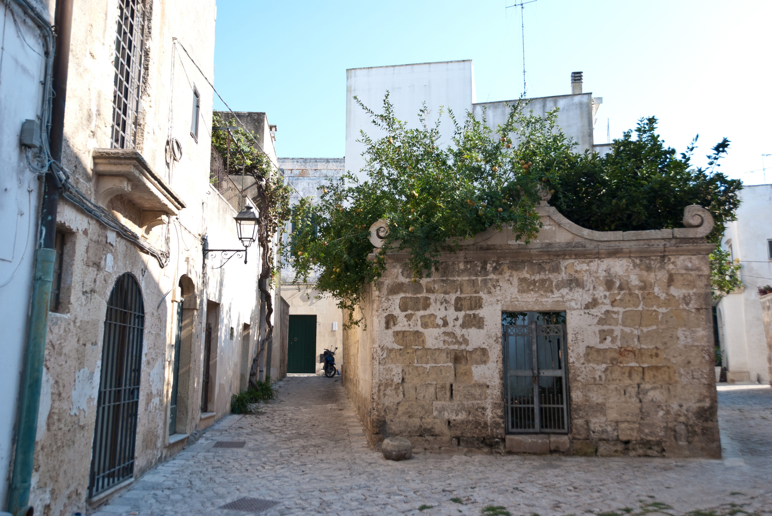 cattedrale otranto