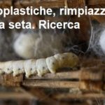 Microplastiche, rimpiazzabili con la seta: la ricerca Microplastiche rimpiazzabili con la set