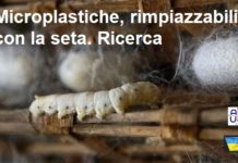 Microplastiche, rimpiazzabili con la seta: la ricerca Microplastiche rimpiazzabili con la set