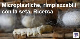 Microplastiche, rimpiazzabili con la seta: la ricerca Microplastiche rimpiazzabili con la set