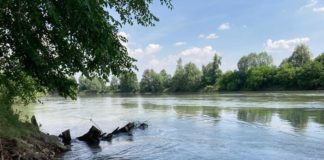 Cadavere a pezzi di Shefki Kurti nel canale Adigetto a Villanova del Ghebbo, arrestata la moglie Shefki Kurti