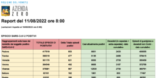 Covid Veneto 11/8: 3.245 casi (-684), VI 567 PD 653 TV 477 VE 621 VR 492 BL 192 RO 186. Morti 7 (+1), in intensiva 26 (+4), in medica 594 (-25) Dati casi Covid per provincia in Veneto al 11 agosto ore 8