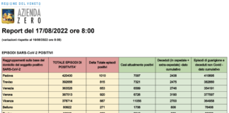 Covid Veneto 17/8: 4939 casi (+4036), VI 887 PD 1010 TV 815 VE 653 VR 920 BL 271 RO 252. Morti 4 (+3), intensiva 22 (-1), medica 536 (+17) Dati casi Covid per provincia in Veneto al 17 agosto ore 8