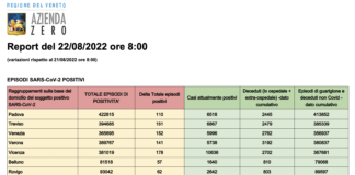 Covid Veneto 22/8: 871 casi, VI 178 PD 110 TV 151 VE 152 VR 141 BL 57 RO 62. Morti 1 (-2), intensiva 25 (-1), medica 480 (-15) Dati casi Covid per provincia in Veneto al 22 agosto ore 8