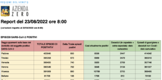 Covid Veneto 23/8: 4432 casi, VI 890 PD 830 TV 673 VE 740 VR 782 BL 188 RO 222. Morti 12 (+11), intensiva 20 (-5), medica 480 (=) Dati casi Covid per provincia in Veneto al 23 agosto ore 8