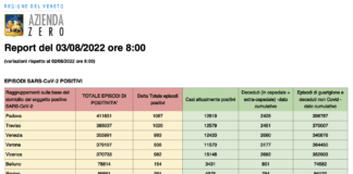 Covid Veneto 3/8: 5.505 casi, VI 982 PD 1067 TV 1020 VE 993 VR 938 BL 154 RO 291. Morti 5 (-15), in intensiva 36 (+6), in medica 738 (+12) Dati casi Covid per provincia in Veneto al 3 agosto ore 8