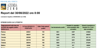 Covid Veneto 30/8: 3700 casi. VI 765 PD 730 TV 637 VE 585 VR 649 BL 132 RO 142. Morti 7 (+4), Intensiva 19 (=), Medica 396 (-14), vaccini 982 Dati casi Covid per provincia in Veneto al 30 agosto ore 8