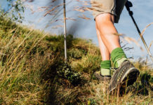 Bus&Trek: al via le escursioni sostenibili nel Vicentino con Uisp e Comune di Vicenza Elbec, calze da trekking estivo. Bus&Trek