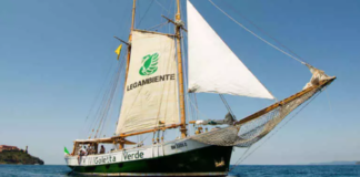 Goletta Verde in Veneto, i temi sul tavolo: crisi climatica, marine litter, delfini Goletta Verde