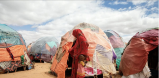 L’Ucraina spedisce il grano, ma servirà di più per allentare la morsa della fame in Medio Oriente e l’Africa Grano dall'Ucraina verso i Paesi poveri