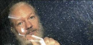 Vicenza per Assange: raccolta di firme per la cittadinanza. Comitato locale: “Amministrazione si impegni” Julian Assange Wikileaks