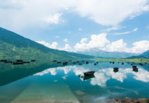 Emergenza idrica in Veneto, il coordinatore Nicola Dell’Acqua: “Non sono state fatte derivazioni maggiori dai laghi di Santa Croce e Pieve di Cadore” emergenza idrcia