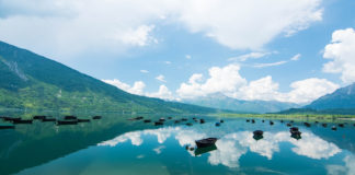 Emergenza idrica in Veneto, il coordinatore Nicola Dell’Acqua: “Non sono state fatte derivazioni maggiori dai laghi di Santa Croce e Pieve di Cadore” emergenza idrcia