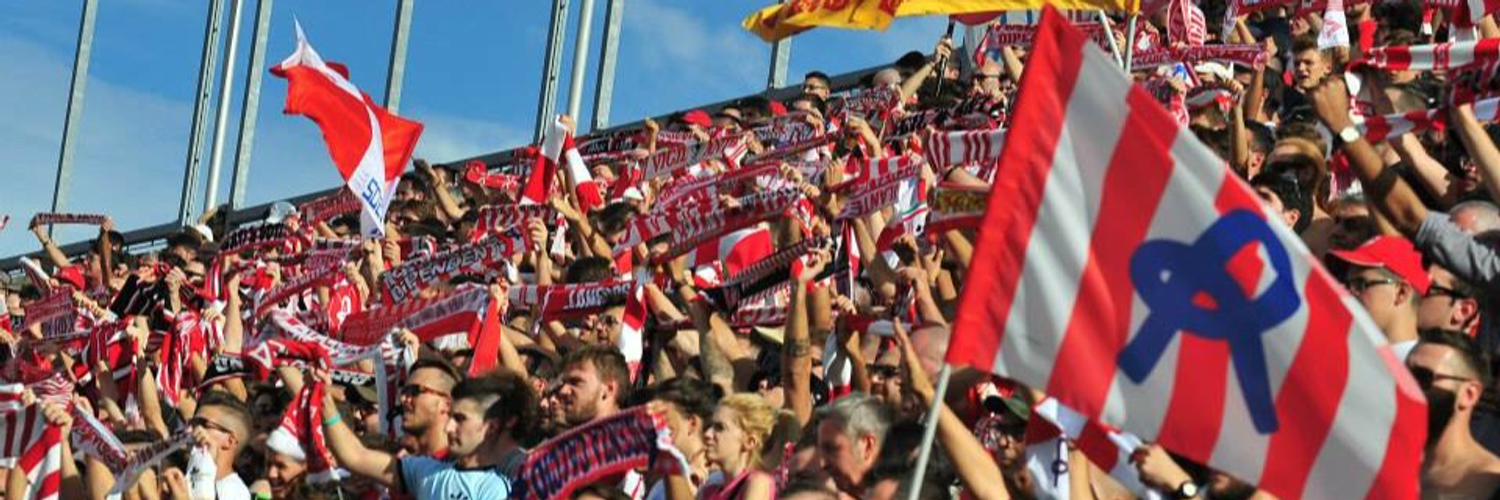 accrediti mantova curva nord accrediti under 17 allenamenti abbonamenti Lr Vicenza, il pubblico biancorosso
