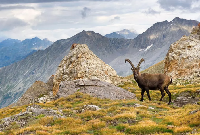 Parco Nazionale Gran Paradiso