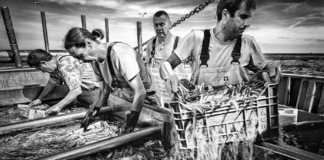 Pesca come patrimonio culturale immateriale da iscrivere nella lista Unesco (Gal Veneto capofila): l’operazione prosegue pesca Unesco veneto