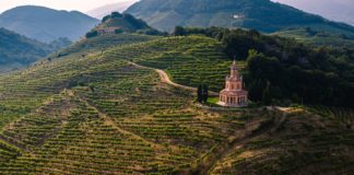 Inaugurazione del cammino delle Colline del Prosecco con Luca Zaia e Federico Caner Tradizioni venete e paesaggio colline del prosecco (Unsplash.com)