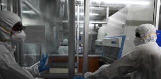 Vaiolo delle scimmie, ecco come conoscerlo: sintomi, contagio, cure e vaccino