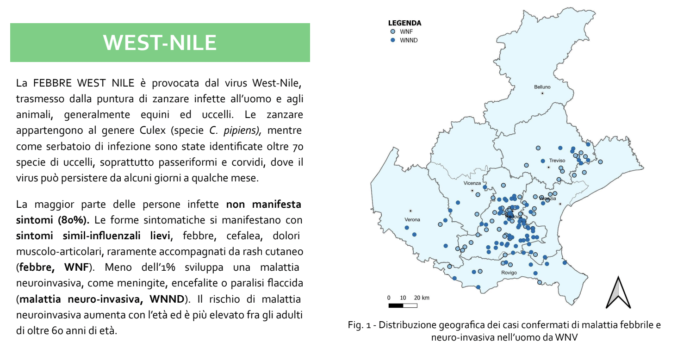 West Nile Veneto