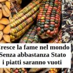 Cresce la fame nel mondo. Senza abbastanza Stato i piatti saranno vuoti fame