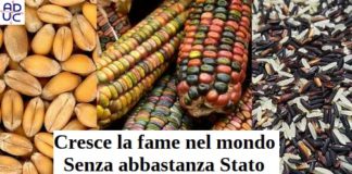 Cresce la fame nel mondo. Senza abbastanza Stato i piatti saranno vuoti fame