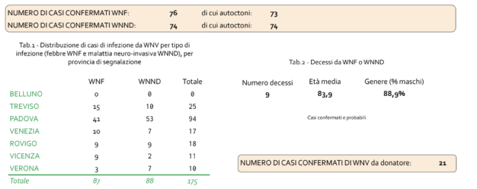 bollettino west nile 19 agosto 2022 veneto 175 casi di virus West Nile