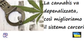 La cannabis va depenalizzata, così miglioriamo il sistema carceri cannabis