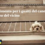 Risarcimento per i guaiti del cane sul terrazzo del vicino