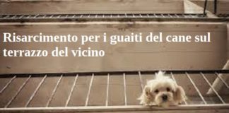 Risarcimento per i guaiti del cane sul terrazzo del vicino
