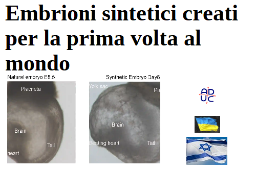 embrioni sintetici